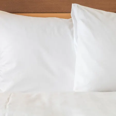 Holiday Inn Kansas City Airport By Ihg-2